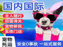怀化芷江航空快运国际宠物托运 【国